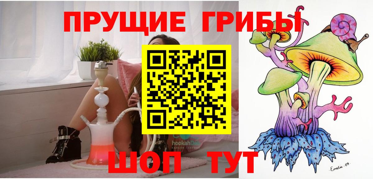 Галлюциногенные грибы прущие грибы  Вход с VPN  Отрадный 